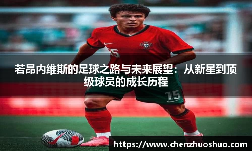 若昂内维斯的足球之路与未来展望：从新星到顶级球员的成长历程