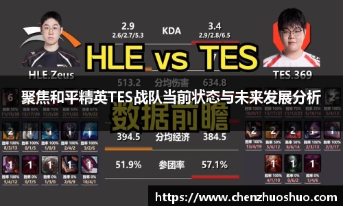 聚焦和平精英TES战队当前状态与未来发展分析